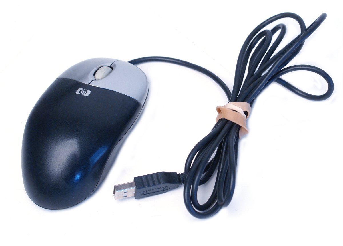 HP Silver/Carbon USB Wired Optical 3 Button Scroll Wheel Mouse Compatible Part Numbers: 265986-003,390938-001, M-UAE96