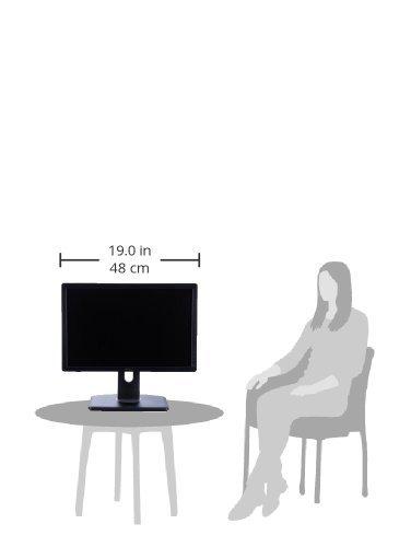 Dell Professional P1913 19-Inch PLHD Widescreen Monitor