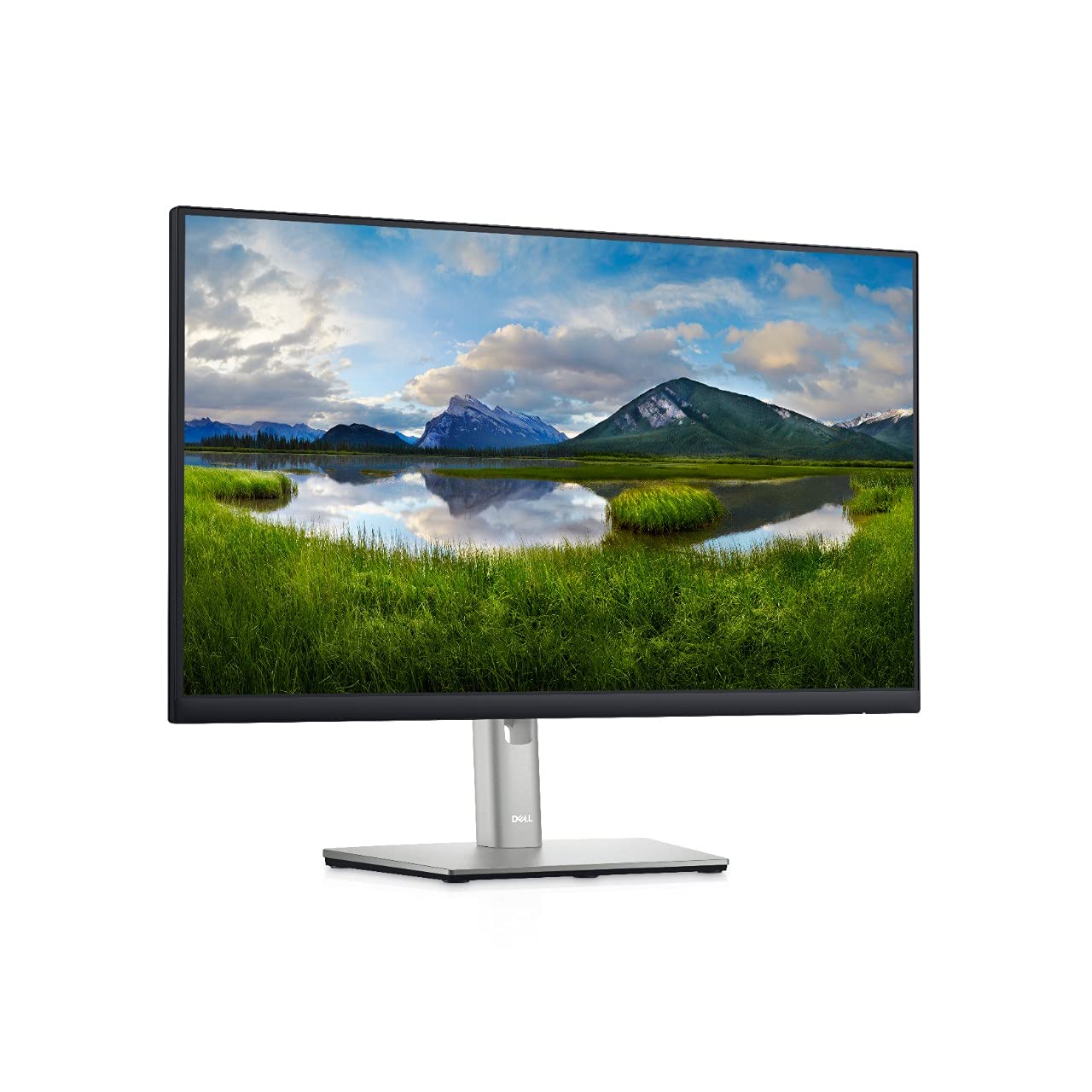 Dell P2422H 24-inch IPS FHD 16:9 monitor Used Grade B