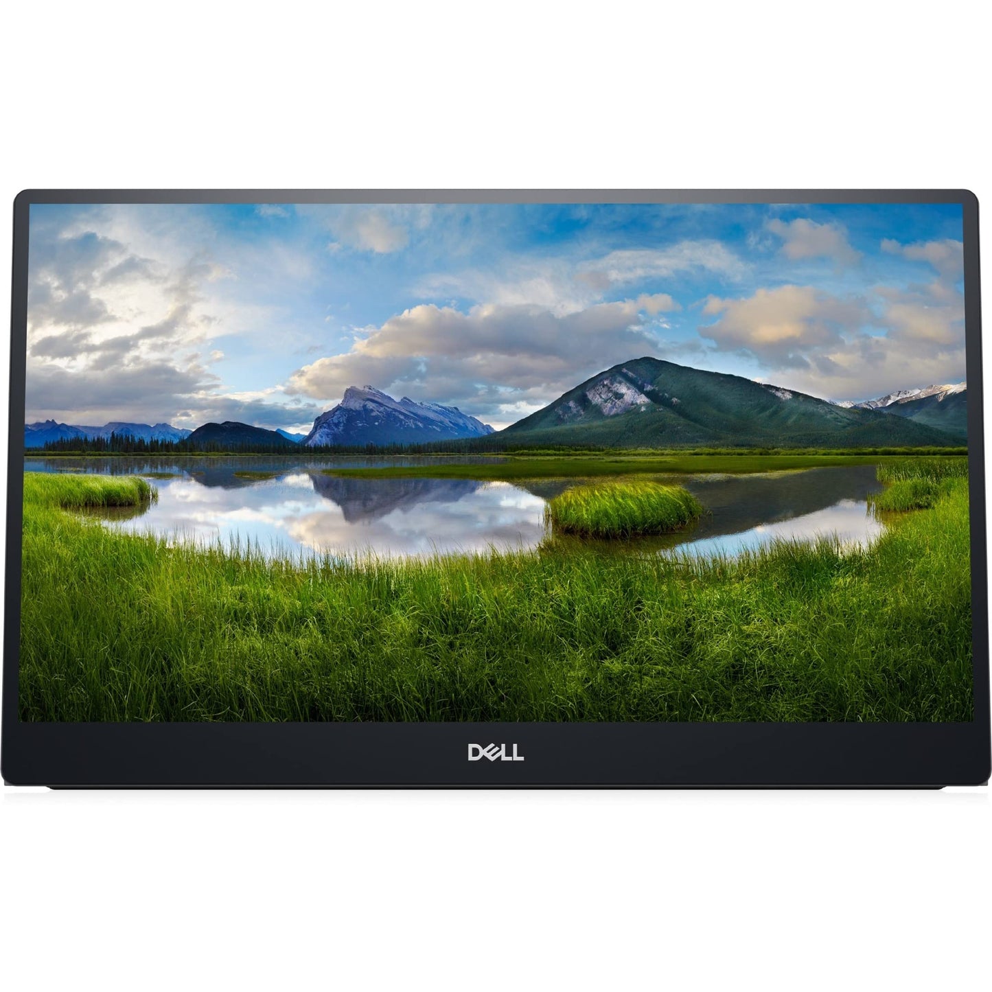 Dell C1422H 14" Full HD LCD Monitor - 16:9 - Silver used Grade A