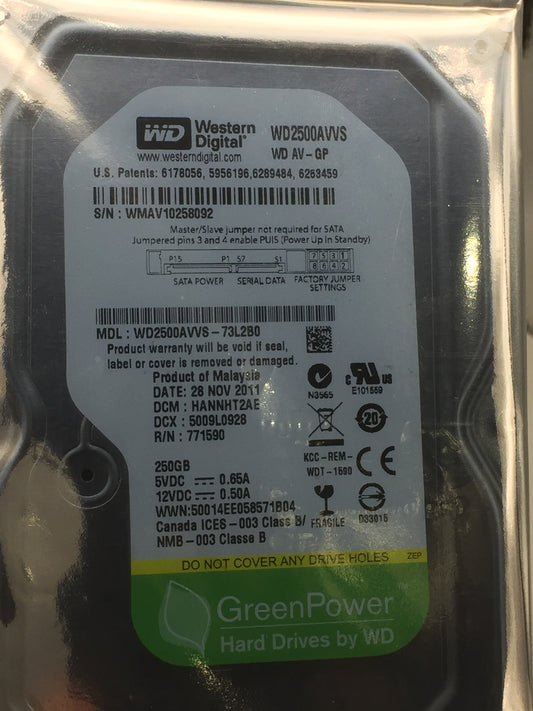 WD AV-GP 250GB 5400-7200 RPM 8MB SATA 3.0Gb/s 3.5" DVR / AV Hard Drive USED