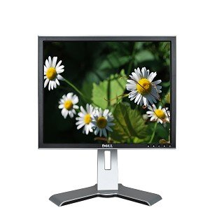 19" Dell 1907FPc DVI 720p Rotating LCD Monitor w/USB 2.0 Hub (Black/Silver) used Grade A