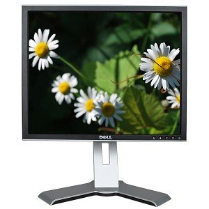 19" Dell 1907FPc DVI 720p Rotating LCD Monitor w/USB 2.0 Hub (Black/Silver) used Grade A