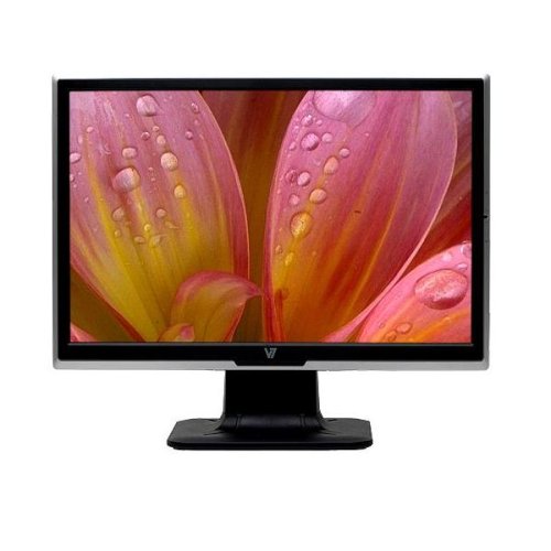 V7 R19W12 19-inch Widescreen LCD Monitor, Silver/Black