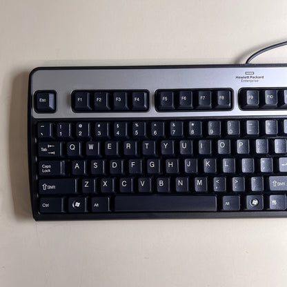 Brand New HP Genuine Computer USB Keyboard iOS/Windows 11/10 KU-0316 434821-007
