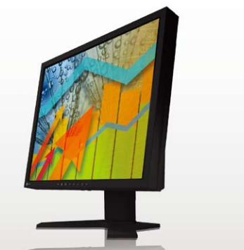 Eizo Eizo Flexscan S1921 17" Lcd Monitor - used, Grade A