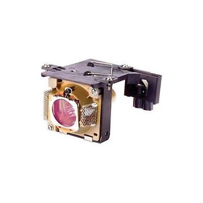 BenQ Multimedia Projector Replacement Lamp (5J.J1M02.001)