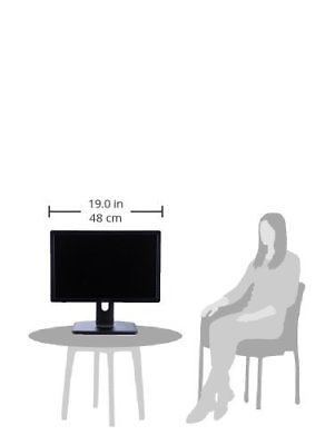 Dell Professional P1913 19-Inch PLHD Widescreen Monitor